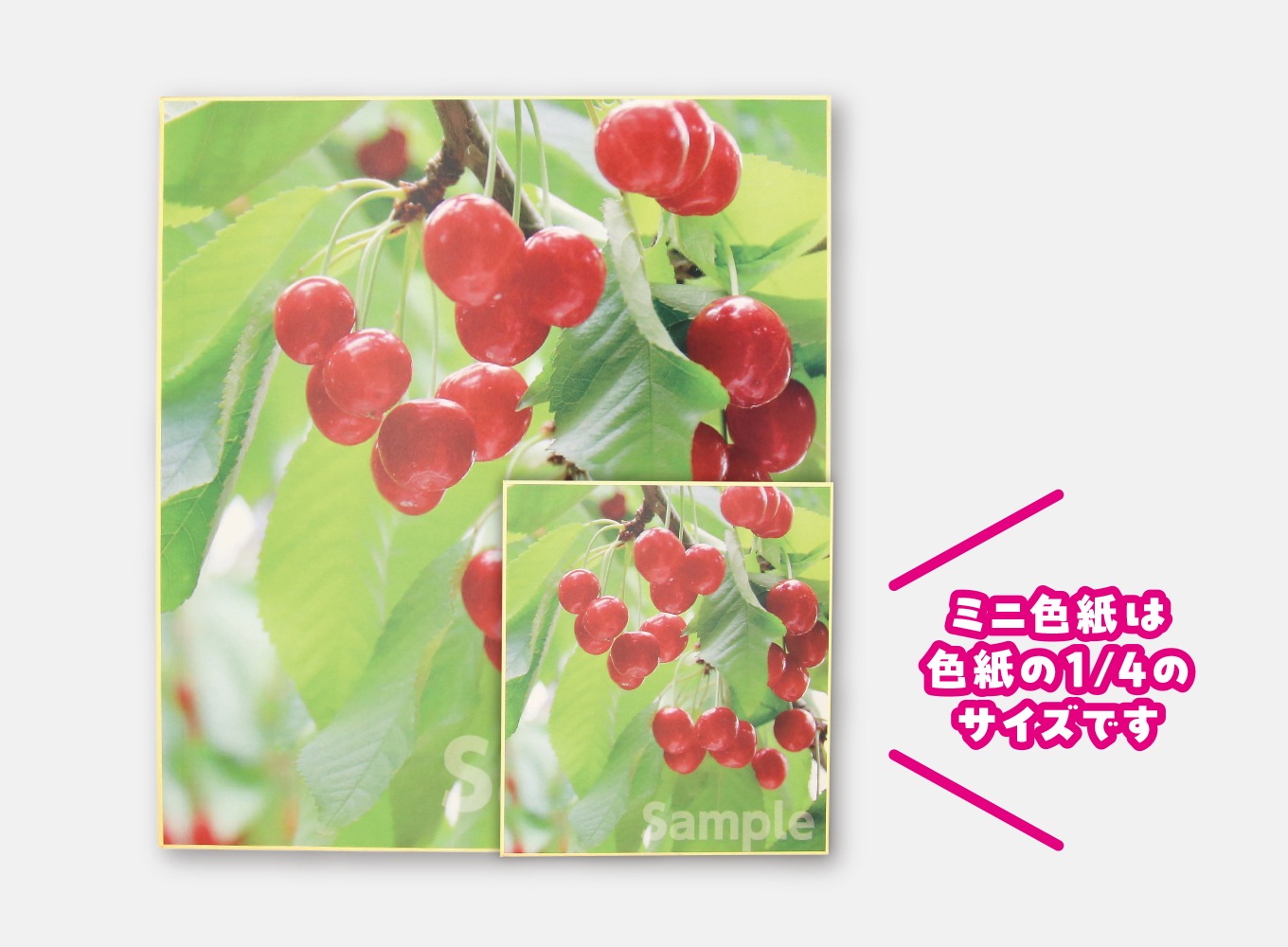 goods_slider_shikishi2