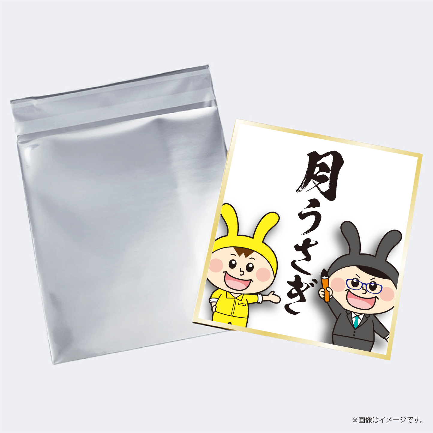 複製色紙：オプション（アルミ蒸着袋イメージ）